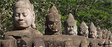 conservation image