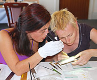 Conservation image