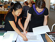 Conservation image