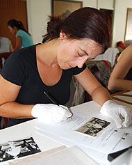Conservation image