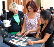 Conservation image