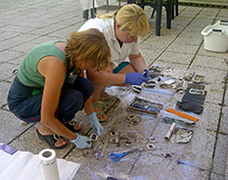 conservation image