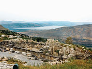 conservation image