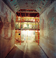 conservation image