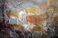 conservation image
