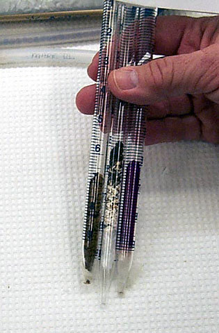 Conservation image