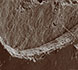 electron image of Athenian pottery