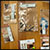 Selection of study set