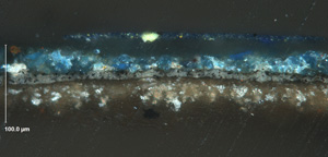 cross-section under white light