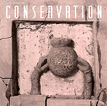 Newsletter Cover