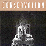 Newsletter Cover