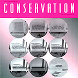Newsletter Cover