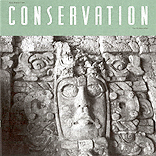 Newsletter Cover