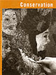 Surface Cleaning and Conservation