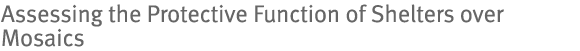 Assessing the Protective Function of Shelters over Mosaics