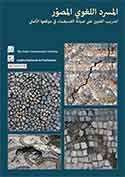 Illustrated Glossary: Technician Training for the Maintenance of in Situ Mosaics (2013)