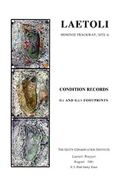 Laetoli Project Condition Records