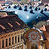 conservation image