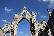 conservation image