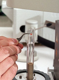 conservation image