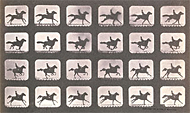 Running / Muybridge