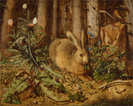 Hare in the Forest / Hoffmann