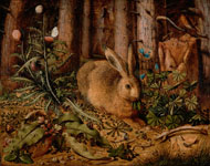 A Hare in the Forest/Hoffmann