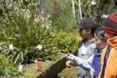 Students experiencing the sights and surprises in the Getty Center's Central Garden