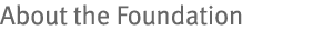 About the Foundation 