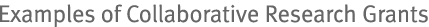 Examples of Collaborative Research Grants