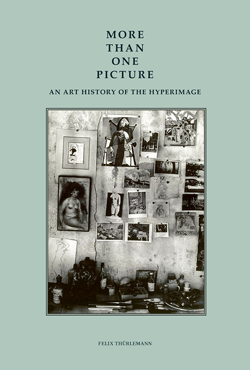 More than One Picture book cover