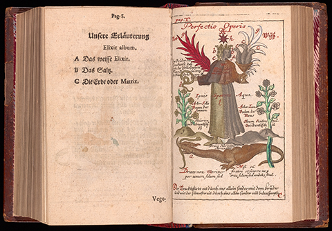 An open book with an illustration of a two-headed hermaphrodite standing above a dragon holding a snake in one hand and a chalice of birds in the other