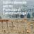 Second Getty Occasional Paper on Genocide and Cultural Destruction Second Getty Occasional Paper on Genocide and Cultural Destruction