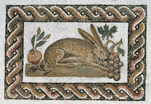 Hare with Grapes / Roman