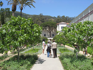 Touring the Herb Garden at the Getty Villa