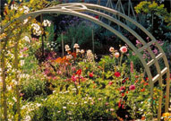 Trellis in the Central Garden