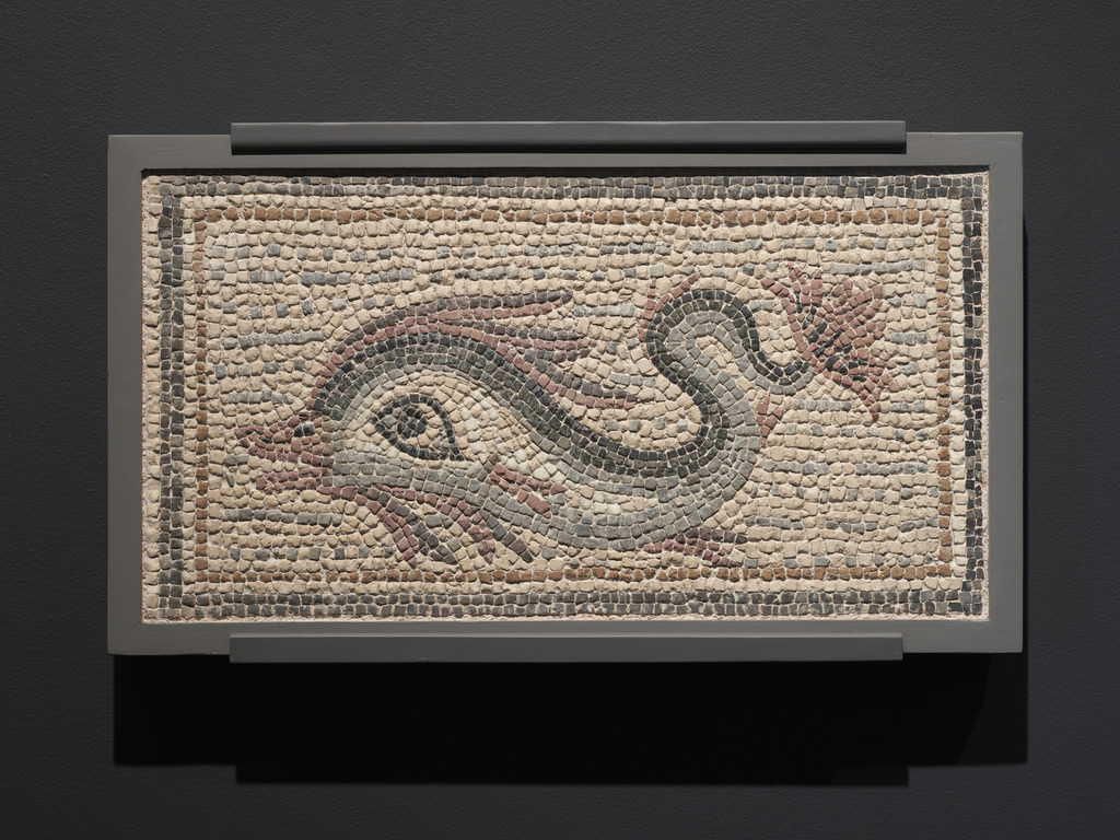 dolphin ancient roman mosaics pompeii