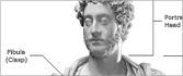 Viewer's Guide to the Roman Bust