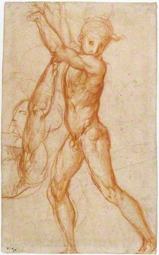 Male Nude / Pontormo (Jacopo Carucci)