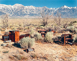 Apple Orchard, Manzanar Japanese-American Relocation Camp / Beahan and McPhee