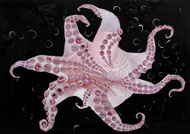 Octopus / Hawkinson