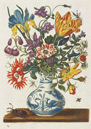 Spring Flowers in a Chinese Vase / Merian