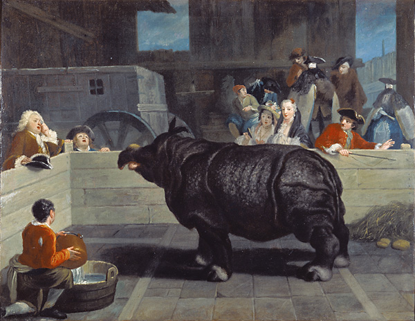 Rhinoceros / Longhi