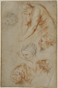 Studies of Women / Rubens