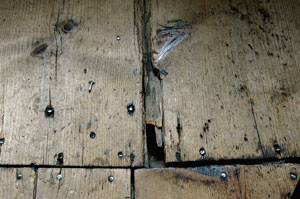 Damage to the wooden floor boards and spring (photo: P. Ryan)
