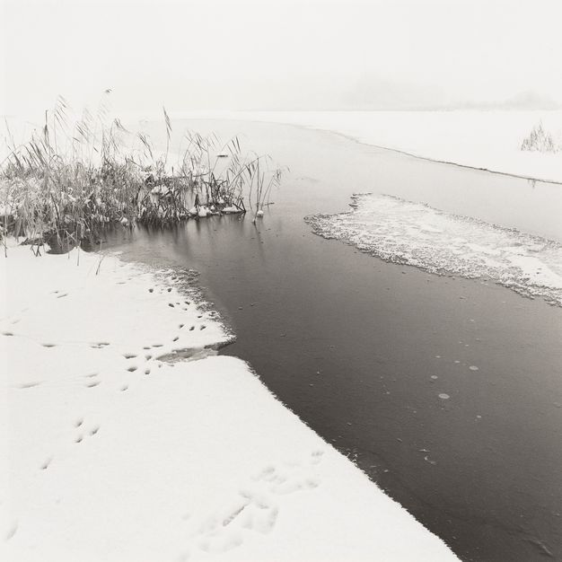 Black and white photograph of a snow-covered expanse with a waterway. Dried canes in the top left point to the horizon line.