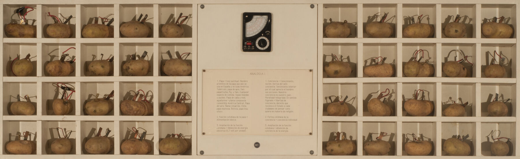 A grid box containing 40 potatoes demonstrating they have electricity through a voltmeter that in the middle of the box