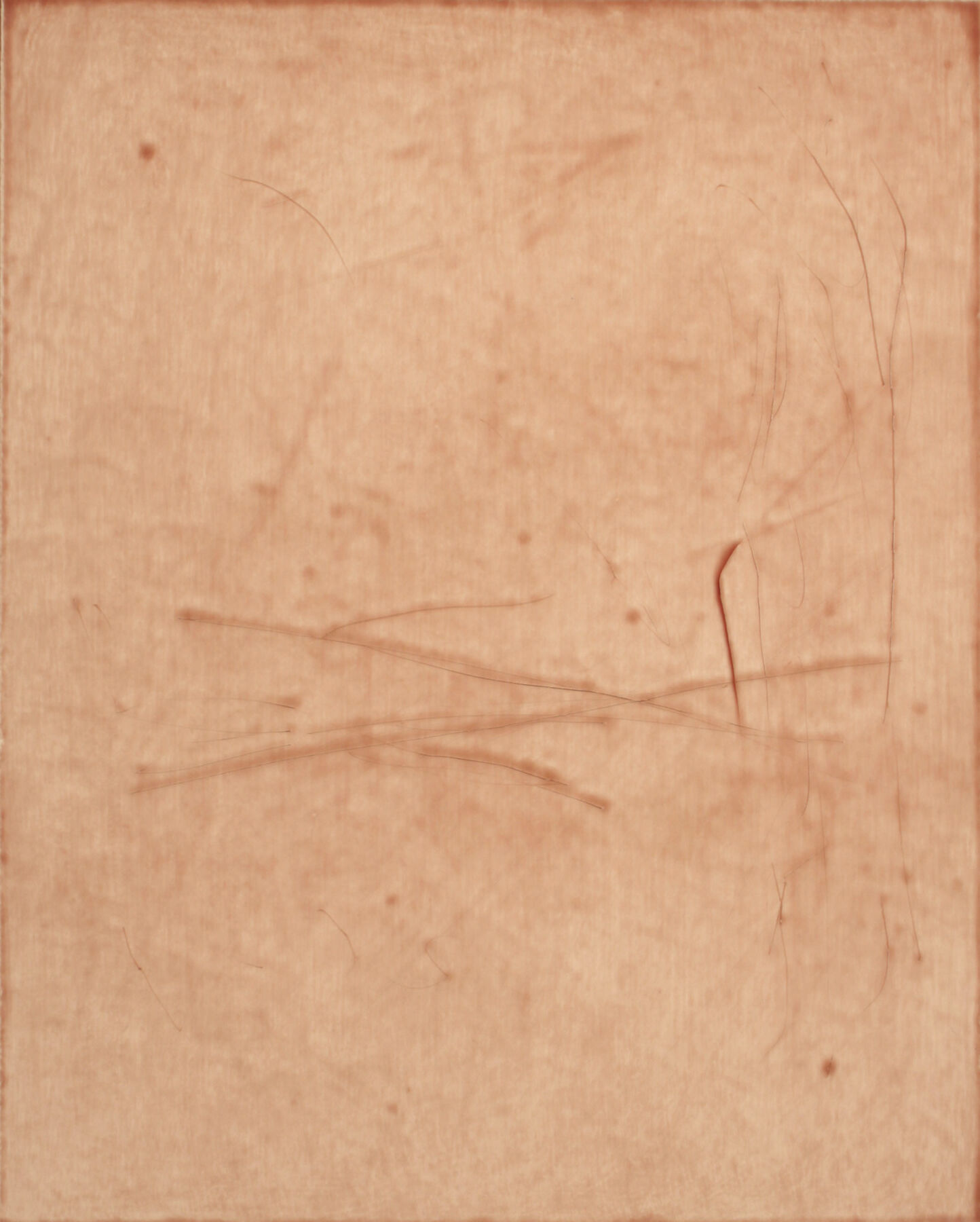 Closeup of red blood streak on reddish-pink wood with brown scratches and dotting