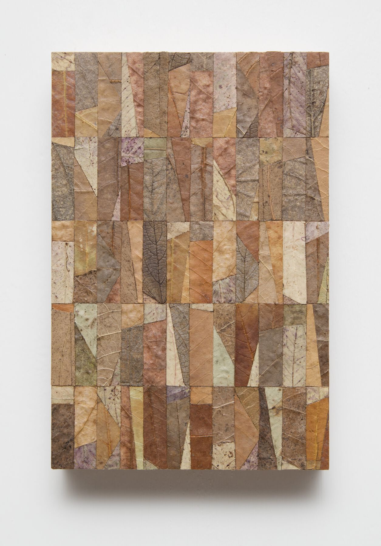 Colorful (green, red, orange, yellow, brown) geometric arrangement of textured flattened leaves on wood in regular rectangular sections