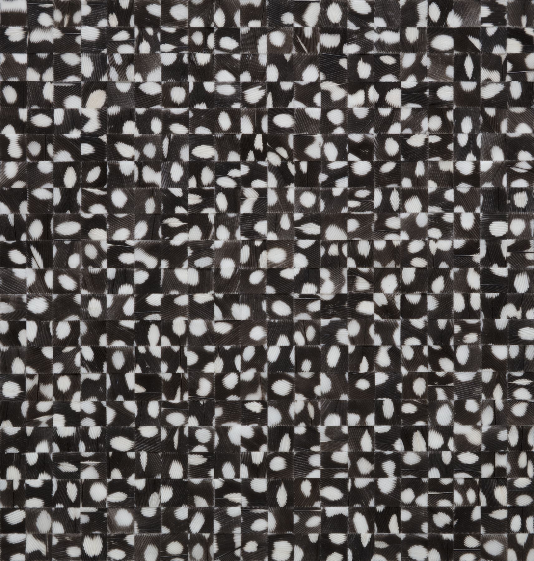 Large grid of tiny black squares with white spots; textured hatched lines in varied directions from square-to-square